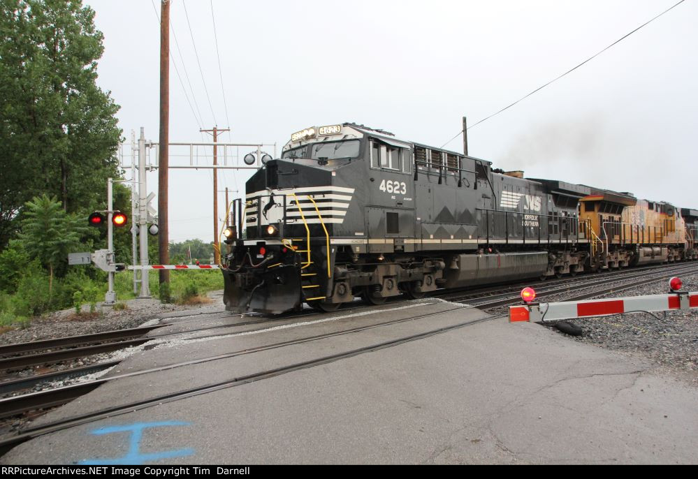 NS 4623 leads 28C